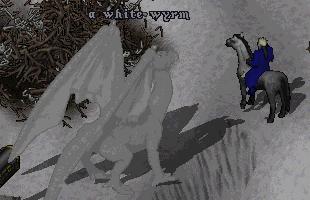 20000128