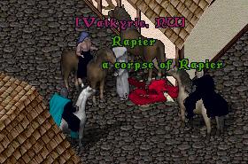20000216.jpg