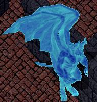 20000313.jpg