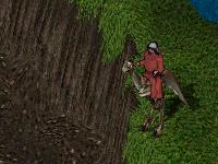 IX^[h