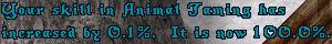 gmtamer.jpg