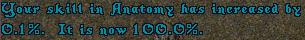 gmanatomy.jpg