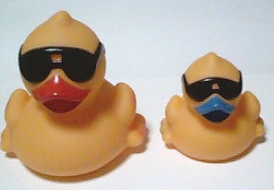 Derby Ducks