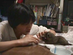 �~���N�̎���