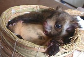 ���`����������I�H