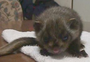 �킪�Ƃɗ��������̂ށ[��