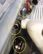 �u���[�o�C�g���b�v