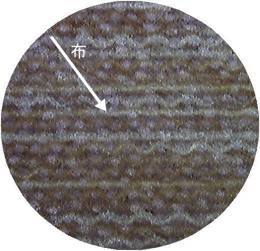 布ベーク断面・側面の画像（５０倍画像）