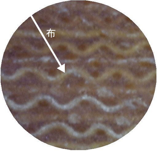 布ベーク断面・側面の画像（２００倍画像）