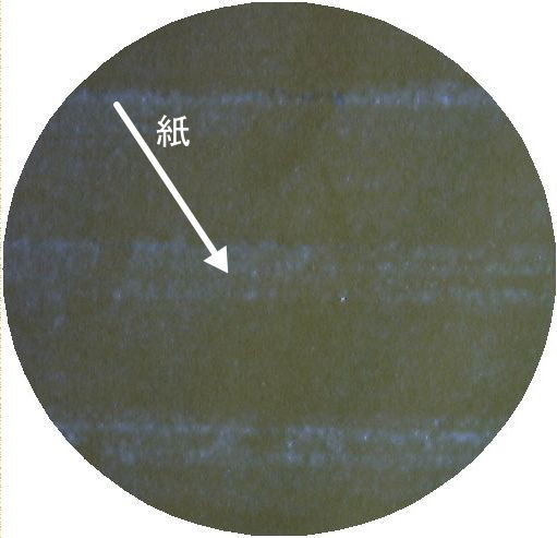 紙ベーク断面・側面の画像（２００倍画像）