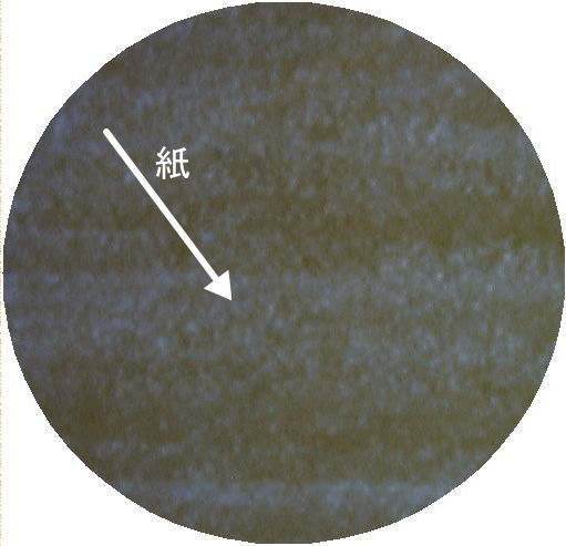 紙ベーク断面・側面の画像（５０倍画像）