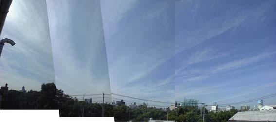 001004Dsc1421.jpg (11874 oCg)