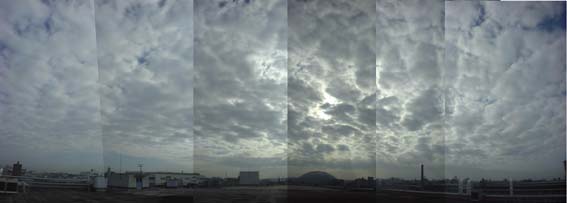 001010Dsc1426.jpg (13107 oCg)