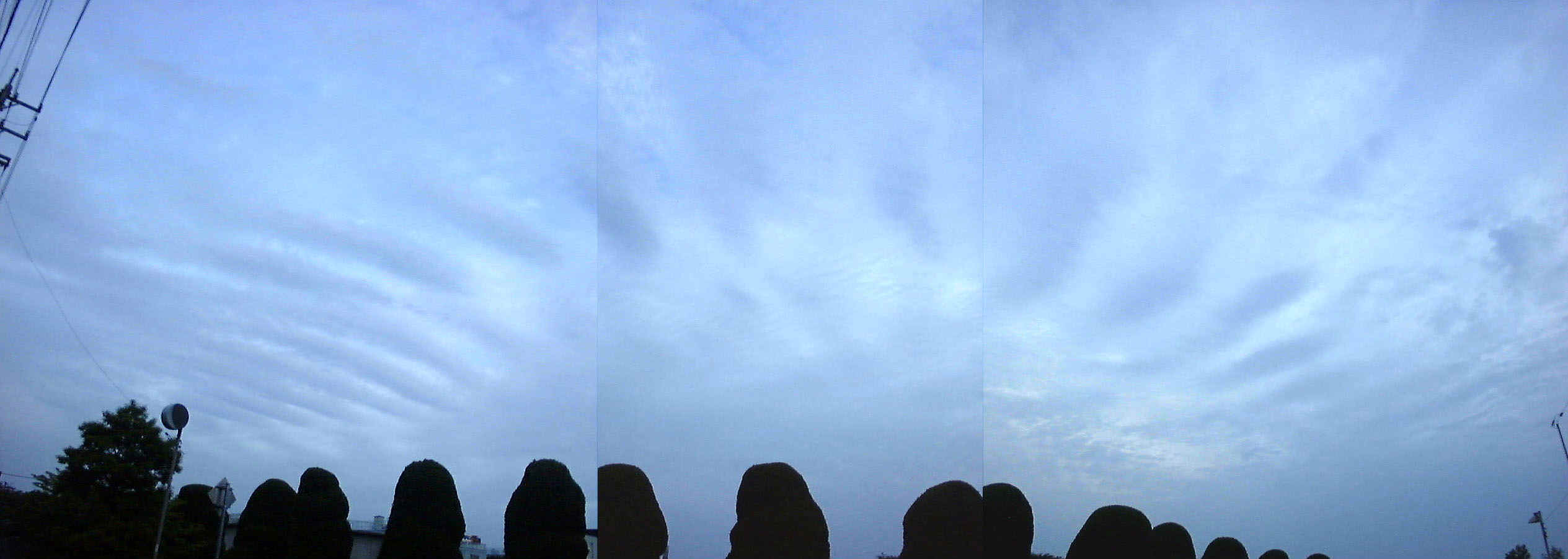 DSC1791.JPG (174231 oCg)