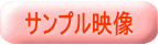 Tvf 