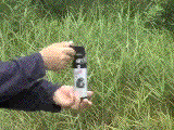 gp1