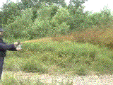 gp4