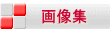 摜W