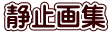 静止画集