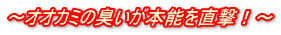 `IIJ~̏L{\𒼌I`