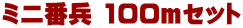 ~jԕ 100Zbg