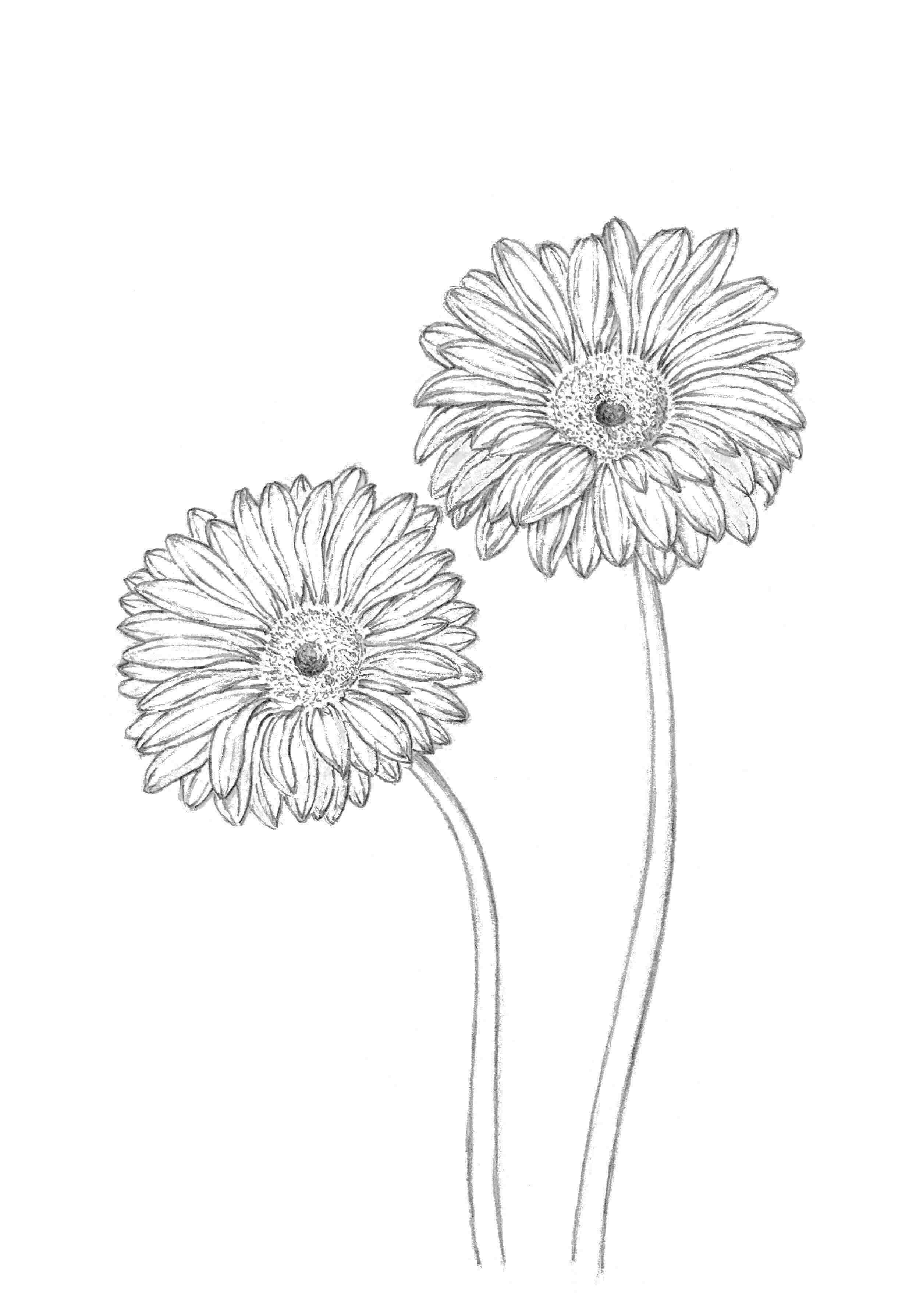 �K�[�x���X�P�b�`