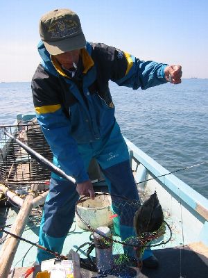 �A�N�A���C���E�C�ق���