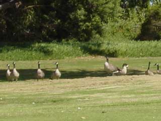 IMG_000035.jpg ( 30 KB )
