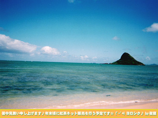 IMG_000065.jpg ( 37 KB )