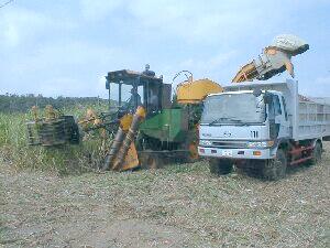 �T�g�E�L�r������n�[�x�X�^�[