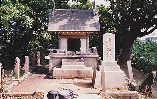 1995�N�̖q�u���