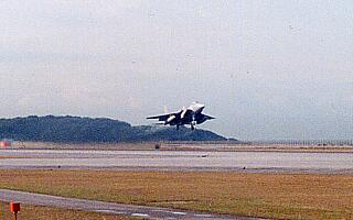 �ߔe��`���痣������e�|�P�T�i