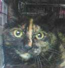 �T�r�݁[��