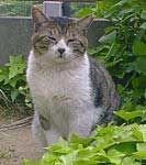 �L�W������