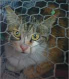 �O�т����