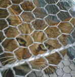 ����[����