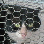 �N�[�����