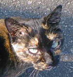 �T�r��������