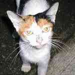 �K���O��