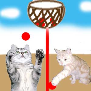 �H�̔L��^�����[��