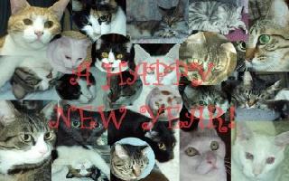 SOYO����Ƃ��̂`�k�k �r�s�`�q�r�o��