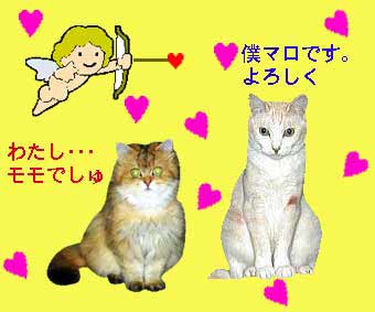 �ǂ�����낵���E�E�ۂ�(^-^*)