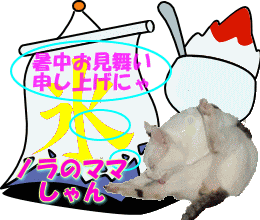 �|�b�|�����Ă��S�J�I