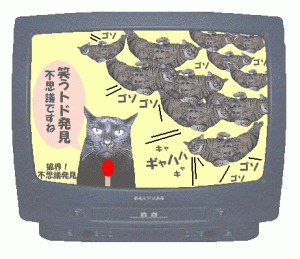 �j���n�j���n�j���n