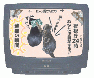 ���݁A������ƁI