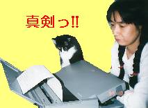 �}�}�`�A���Ԉ���Ă��[