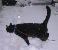 �����������`