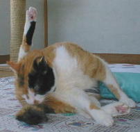 �N���Ă����