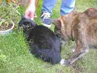 �܂��͂�����̓��������񂭂񂳂���