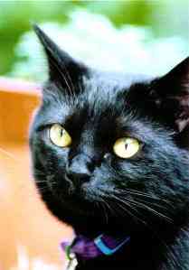 �ڂ��A�ڂ��������[